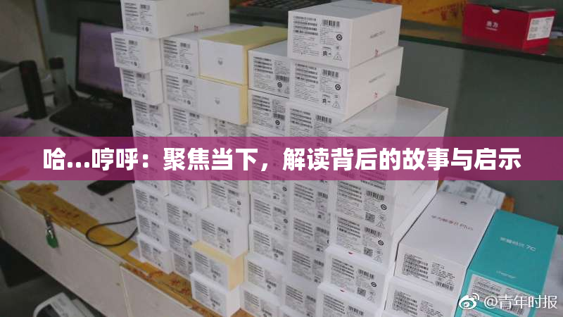 哈…哼呼：聚焦当下，解读背后的故事与启示
