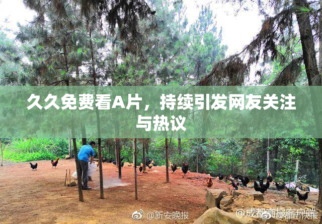 久久免费看A片，持续引发网友关注与热议
