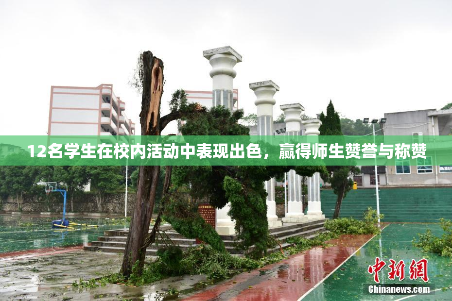 12名学生在校内活动中表现出色，赢得师生赞誉与称赞