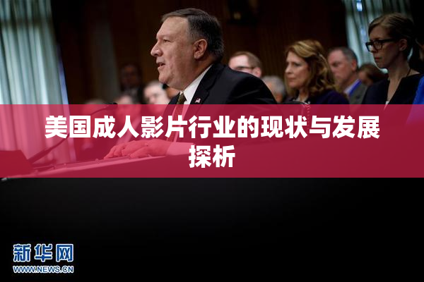 美国成人影片行业的现状与发展探析