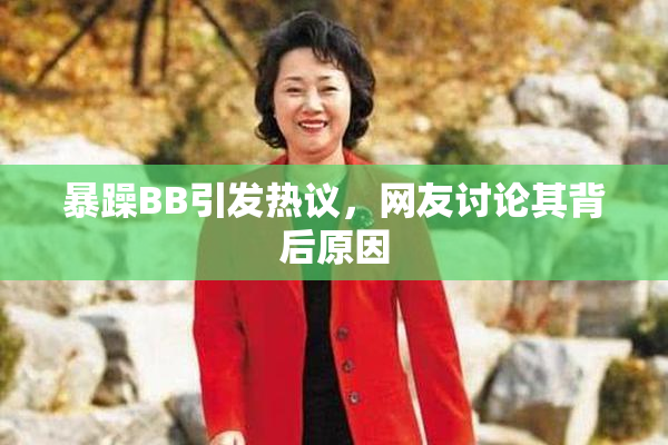 暴躁BB引发热议，网友讨论其背后原因