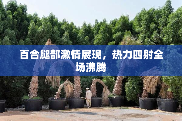 百合腿部激情展现，热力四射全场沸腾