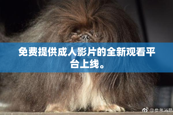 免费提供成人影片的全新观看平台上线。