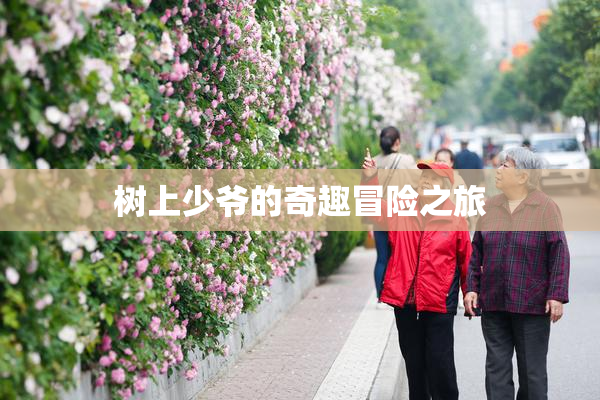 树上少爷的奇趣冒险之旅