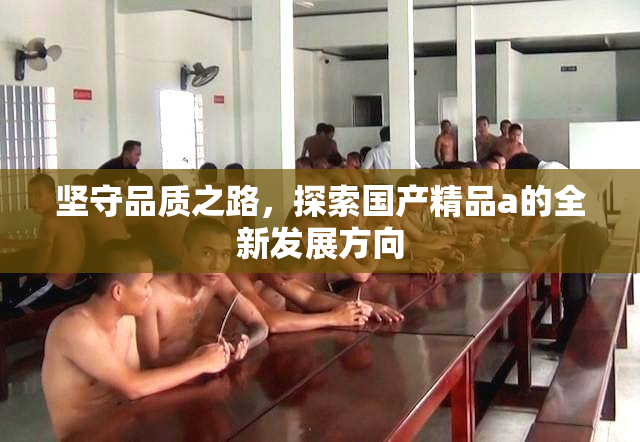 坚守品质之路，探索国产精品a的全新发展方向