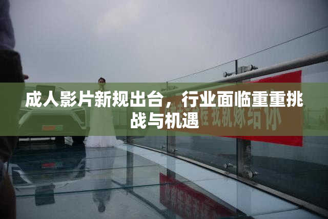 成人影片新规出台，行业面临重重挑战与机遇