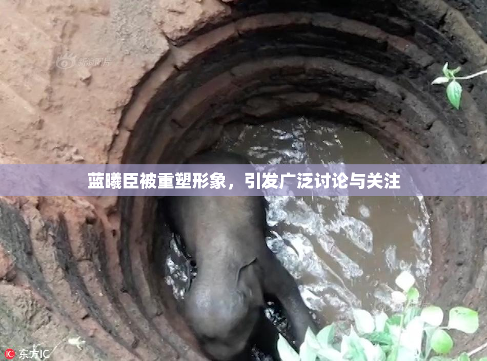 蓝曦臣被重塑形象，引发广泛讨论与关注