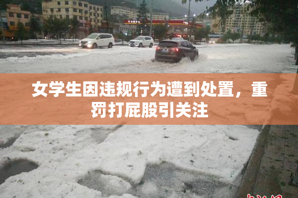 女学生因违规行为遭到处置，重罚打屁股引关注