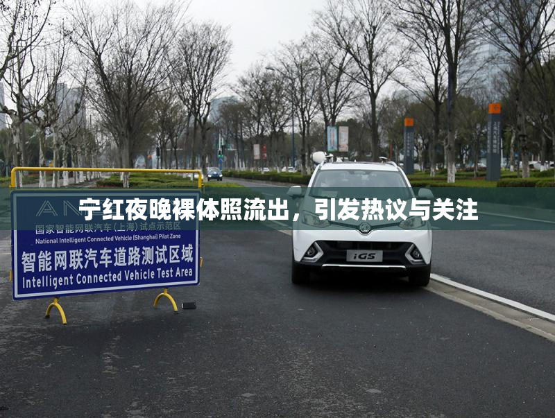 宁红夜晚裸体照流出，引发热议与关注