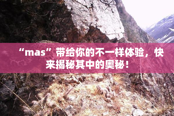 “mas”带给你的不一样体验，快来揭秘其中的奥秘！