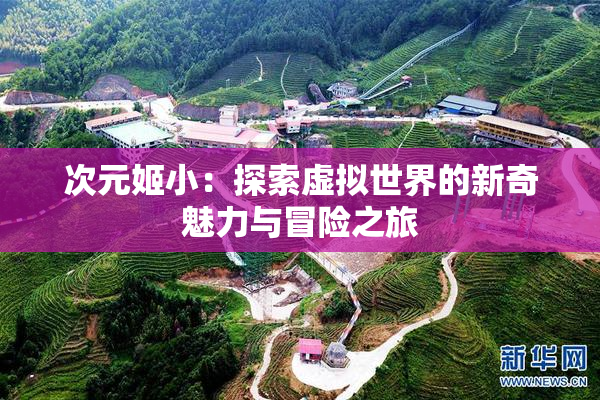 次元姬小：探索虚拟世界的新奇魅力与冒险之旅
