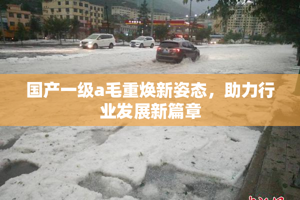 国产一级a毛重焕新姿态，助力行业发展新篇章