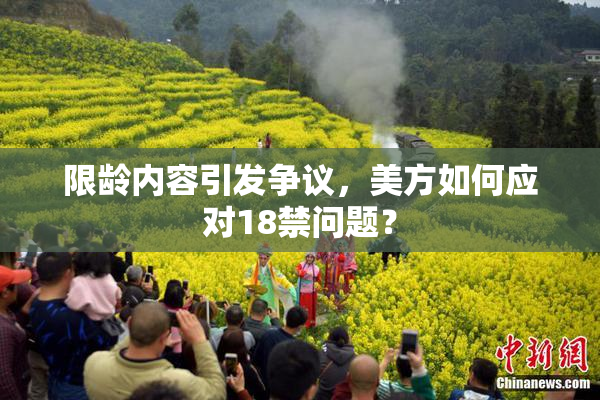 限龄内容引发争议，美方如何应对18禁问题？