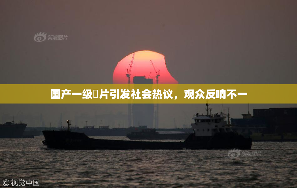 国产一级婬片引发社会热议，观众反响不一