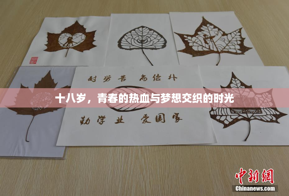 十八岁，青春的热血与梦想交织的时光
