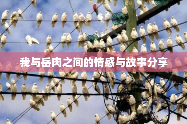 我与岳肉之间的情感与故事分享