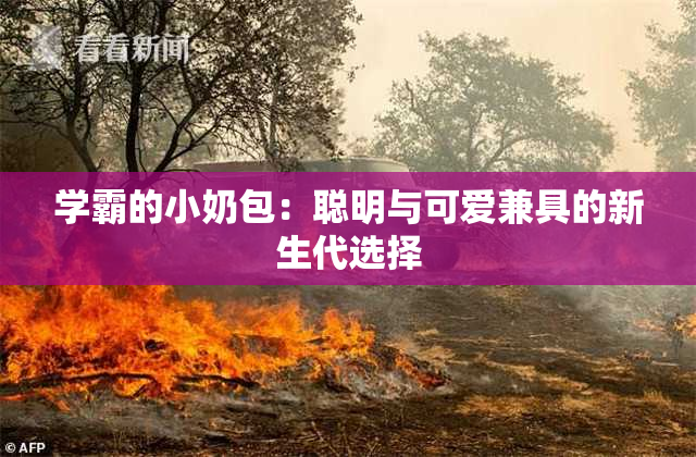 学霸的小奶包：聪明与可爱兼具的新生代选择