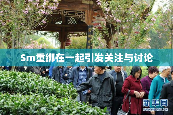 Sm重绑在一起引发关注与讨论