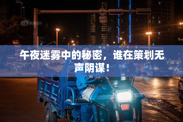 午夜迷雾中的秘密，谁在策划无声阴谋！