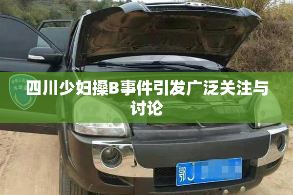 四川少妇搡B事件引发广泛关注与讨论
