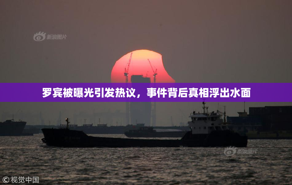 罗宾被曝光引发热议，事件背后真相浮出水面