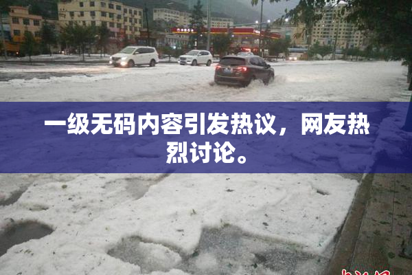 一级无码内容引发热议，网友热烈讨论。