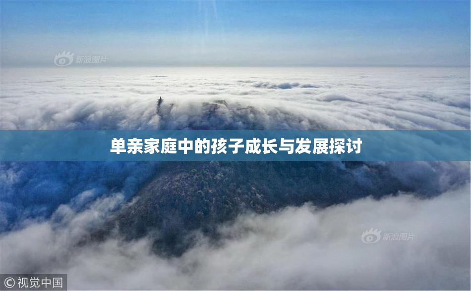 单亲家庭中的孩子成长与发展探讨