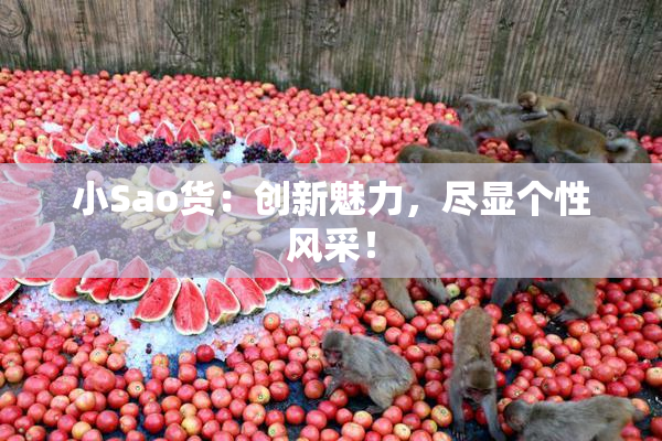 小Sao货：创新魅力，尽显个性风采！