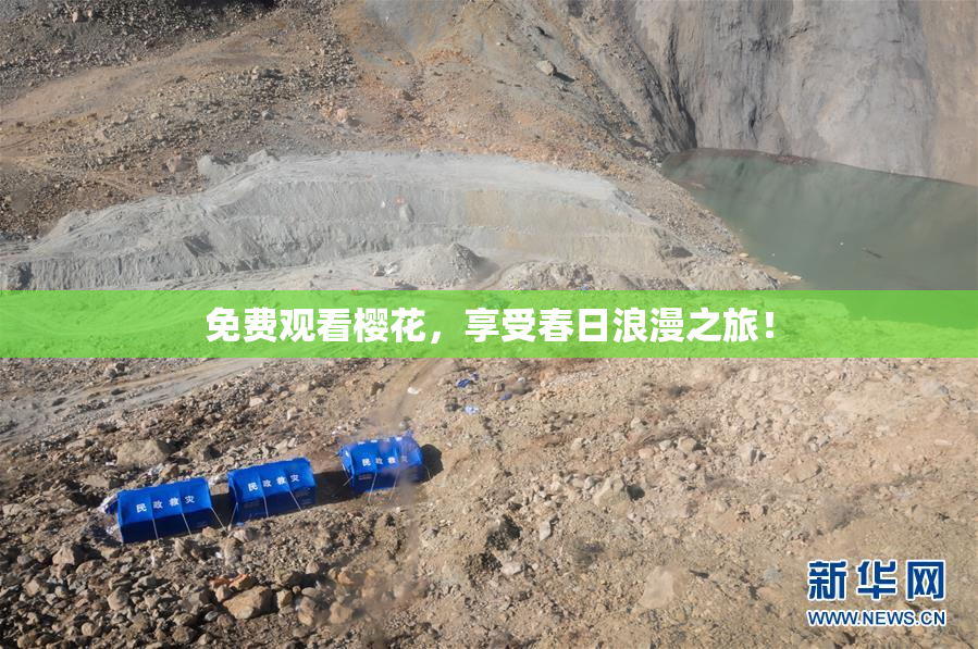 免费观看樱花，享受春日浪漫之旅！