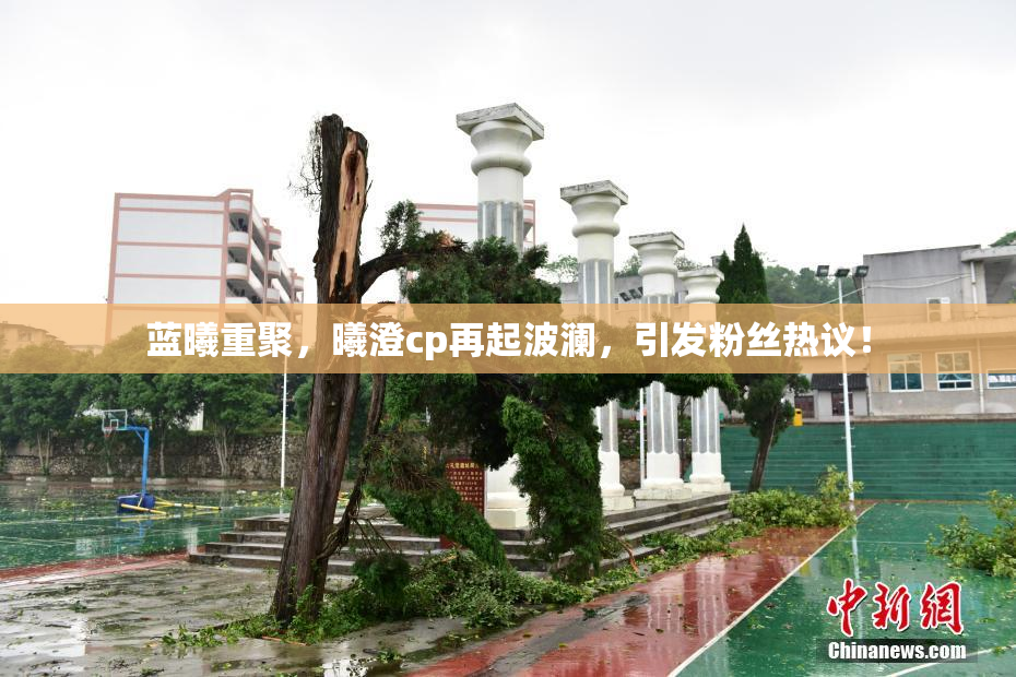 蓝曦重聚，曦澄cp再起波澜，引发粉丝热议！