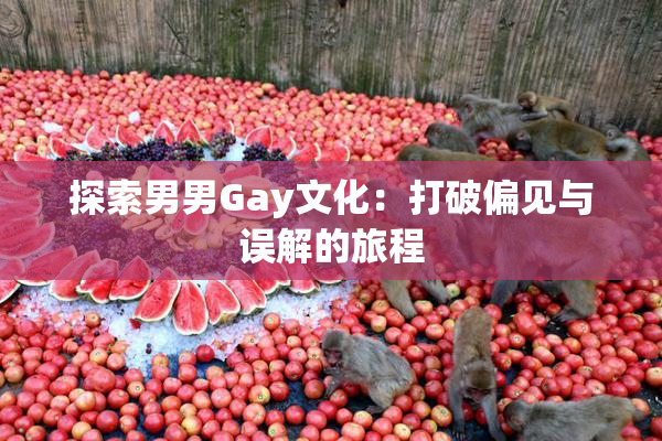 探索男男Gay文化：打破偏见与误解的旅程