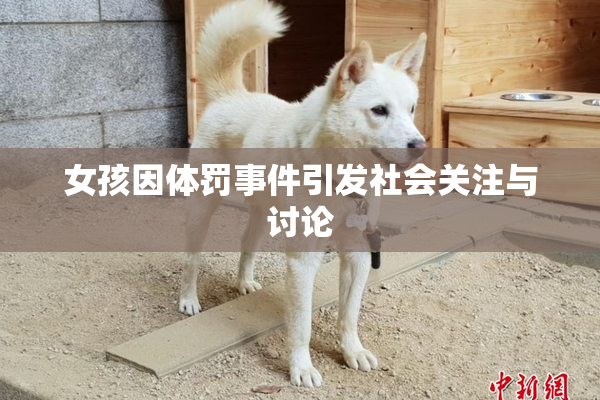 女孩因体罚事件引发社会关注与讨论