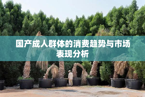 国产成人群体的消费趋势与市场表现分析