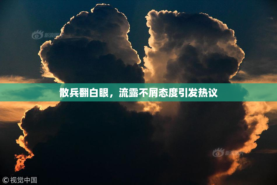 散兵翻白眼，流露不屑态度引发热议