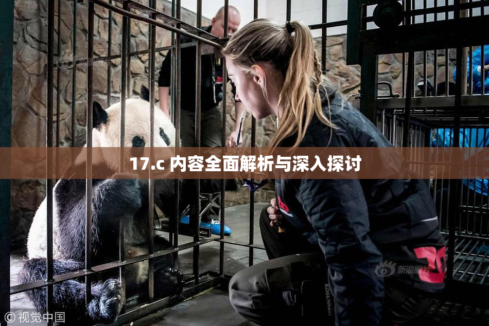 17.c 内容全面解析与深入探讨