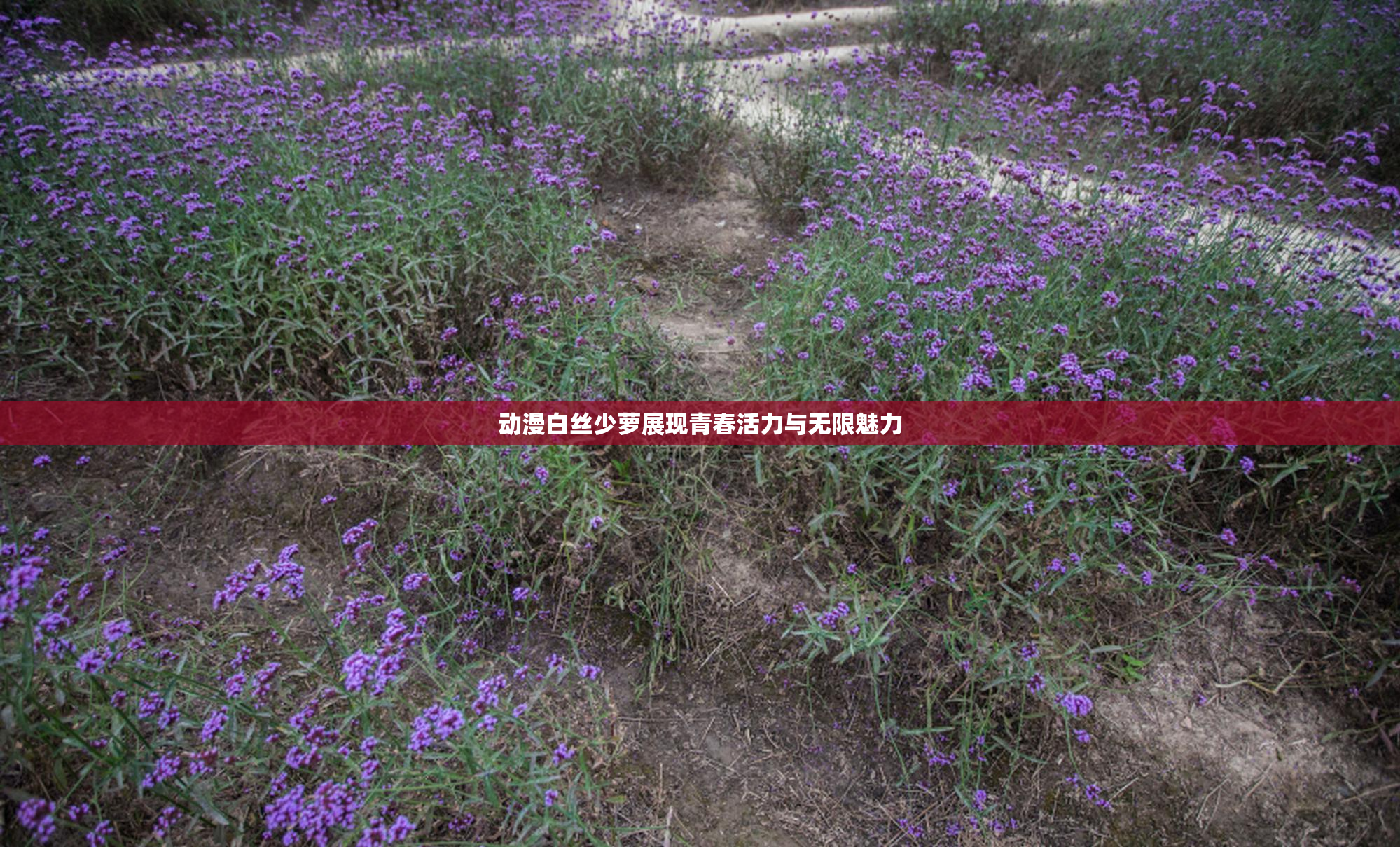 动漫白丝少萝展现青春活力与无限魅力