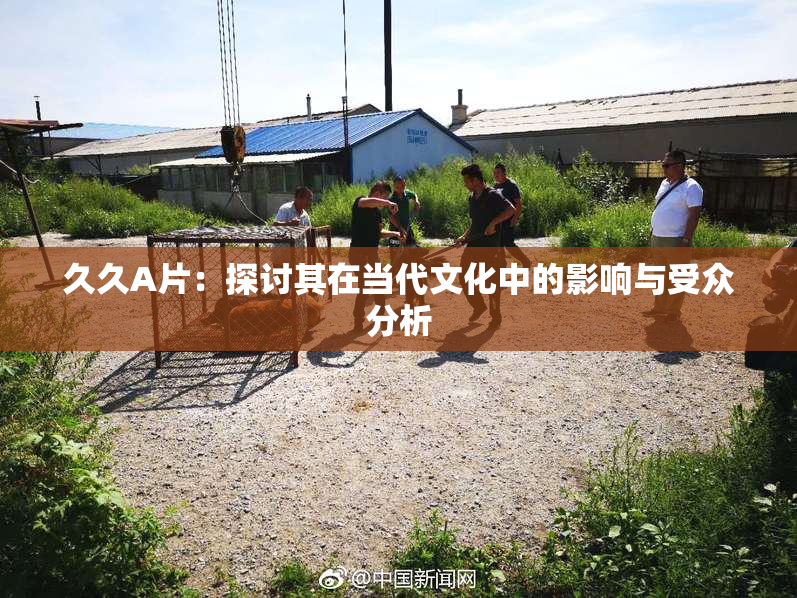 久久A片：探讨其在当代文化中的影响与受众分析