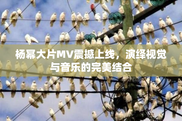 杨幂大片MV震撼上线，演绎视觉与音乐的完美结合