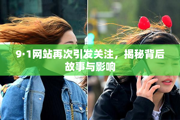 9·1网站再次引发关注，揭秘背后故事与影响