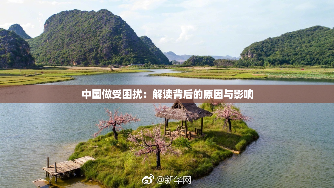 中国做受困扰：解读背后的原因与影响