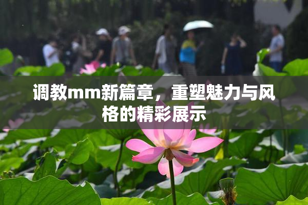 调教mm新篇章，重塑魅力与风格的精彩展示