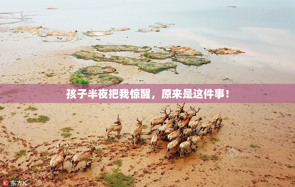 孩子半夜把我惊醒，原来是这件事！
