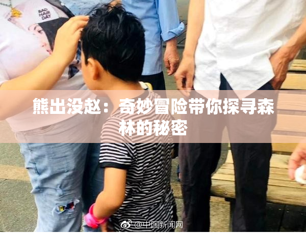 熊出没赵：奇妙冒险带你探寻森林的秘密