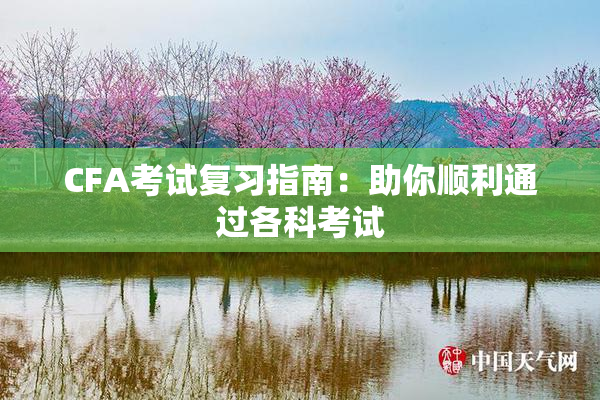 CFA考试复习指南：助你顺利通过各科考试
