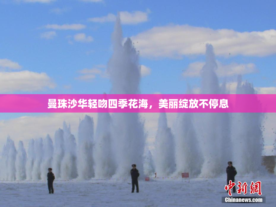 曼珠沙华轻吻四季花海，美丽绽放不停息