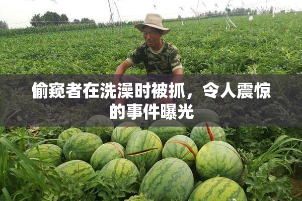 偷窥者在洗澡时被抓，令人震惊的事件曝光