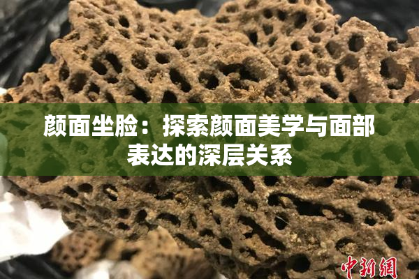 颜面坐脸：探索颜面美学与面部表达的深层关系