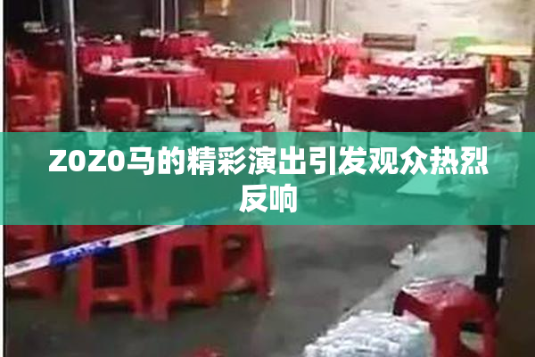 Z0Z0马的精彩演出引发观众热烈反响