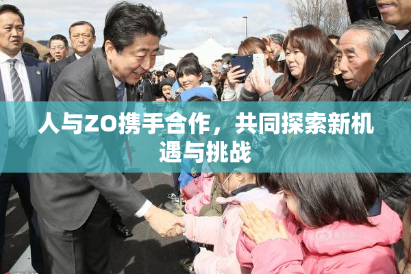 人与ZO携手合作，共同探索新机遇与挑战