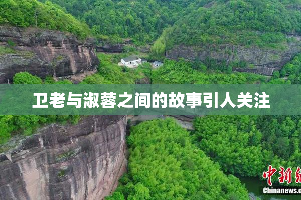 卫老与淑蓉之间的故事引人关注